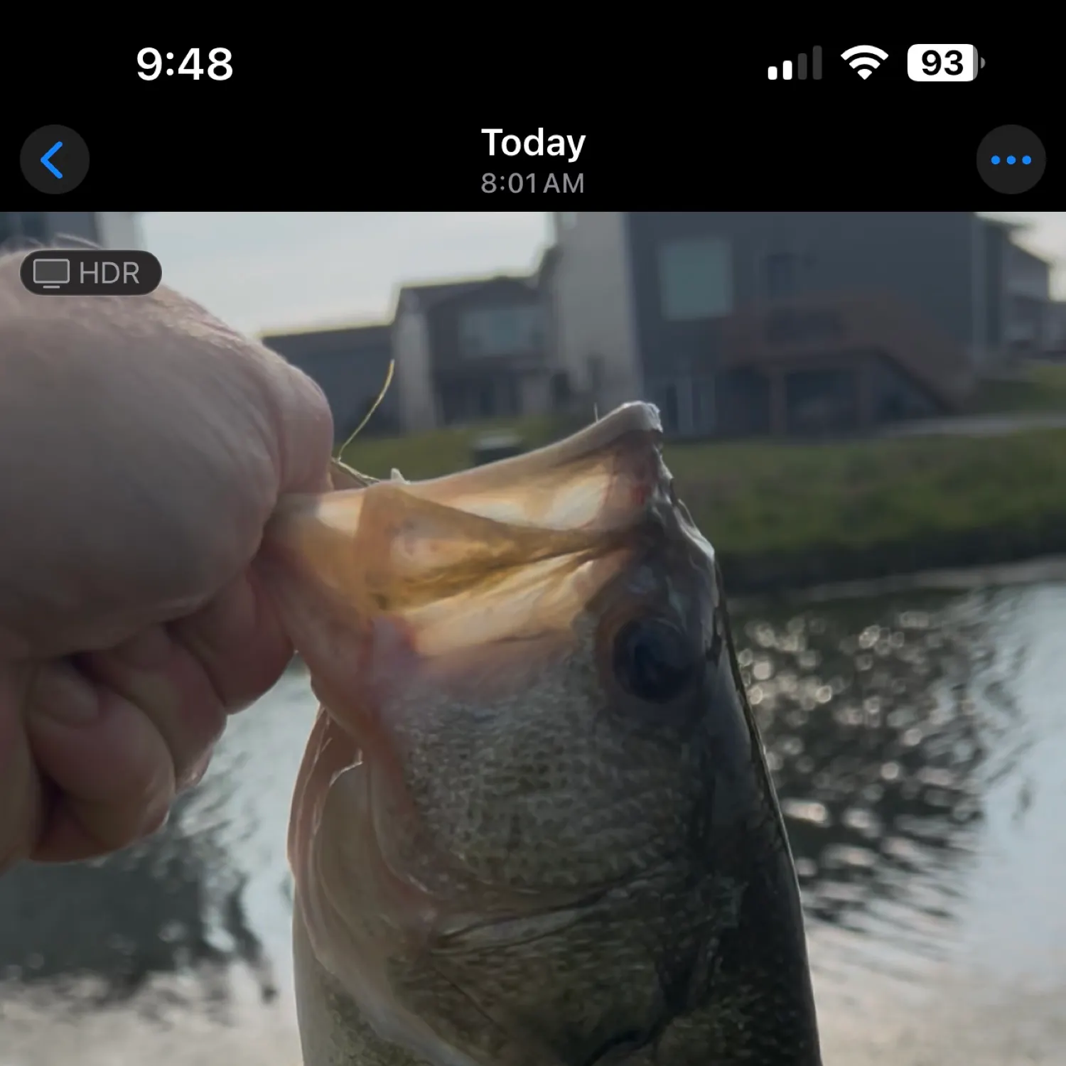 recently logged catches