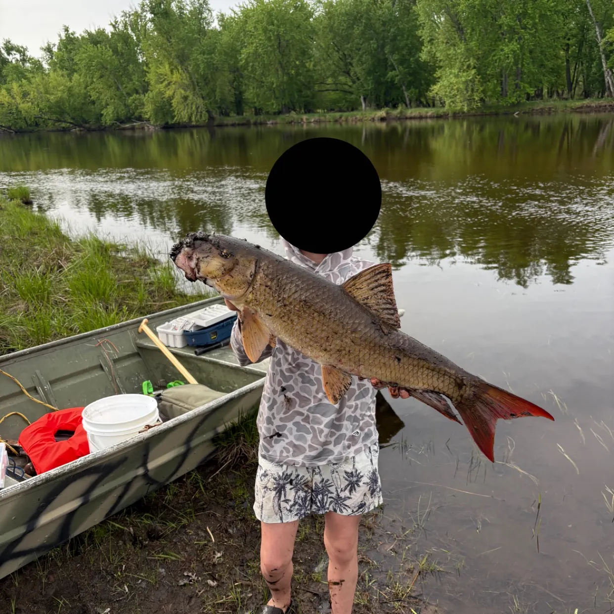 The most recent Greater redhorse catches on Fishbrain