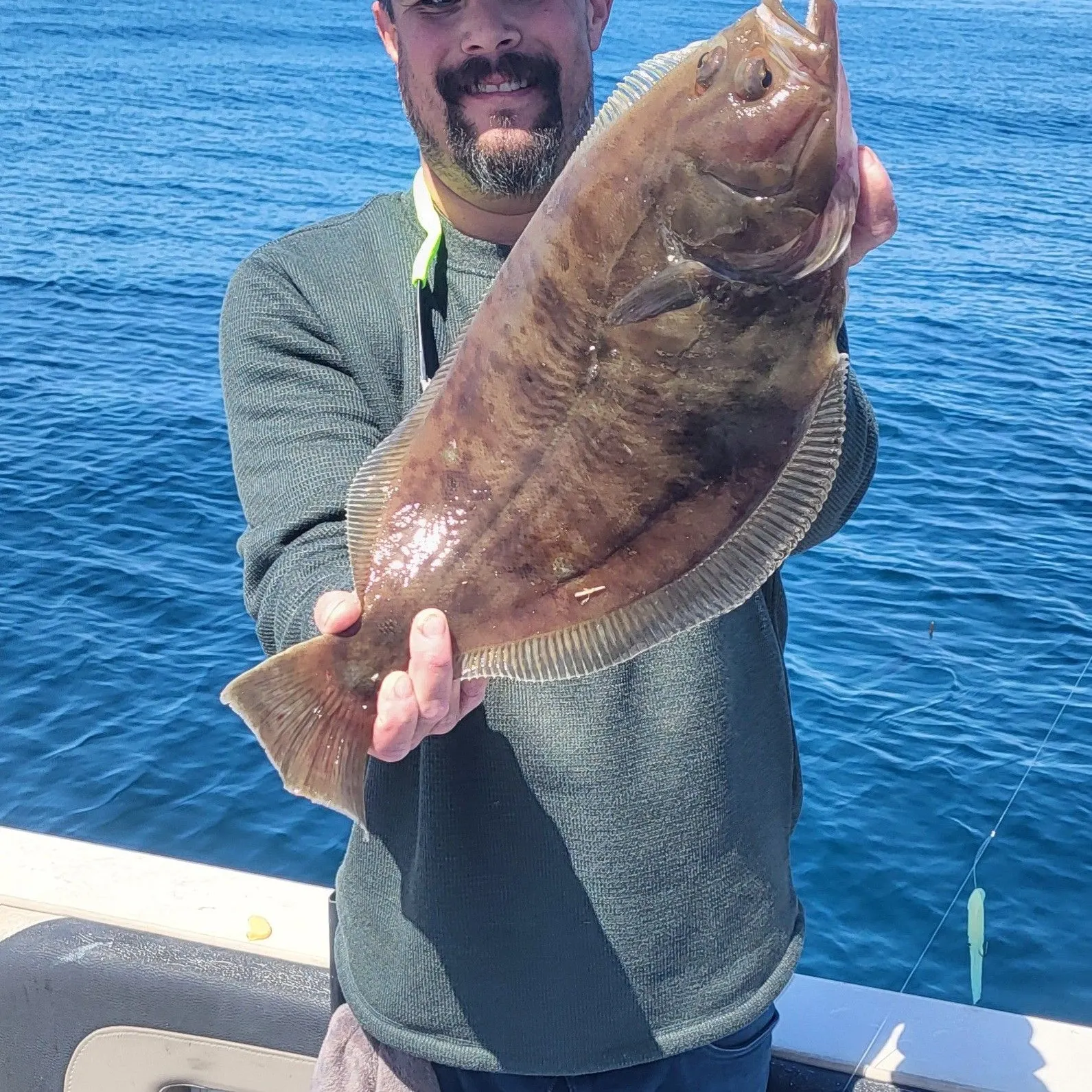 The most popular recent Dover sole catch on Fishbrain