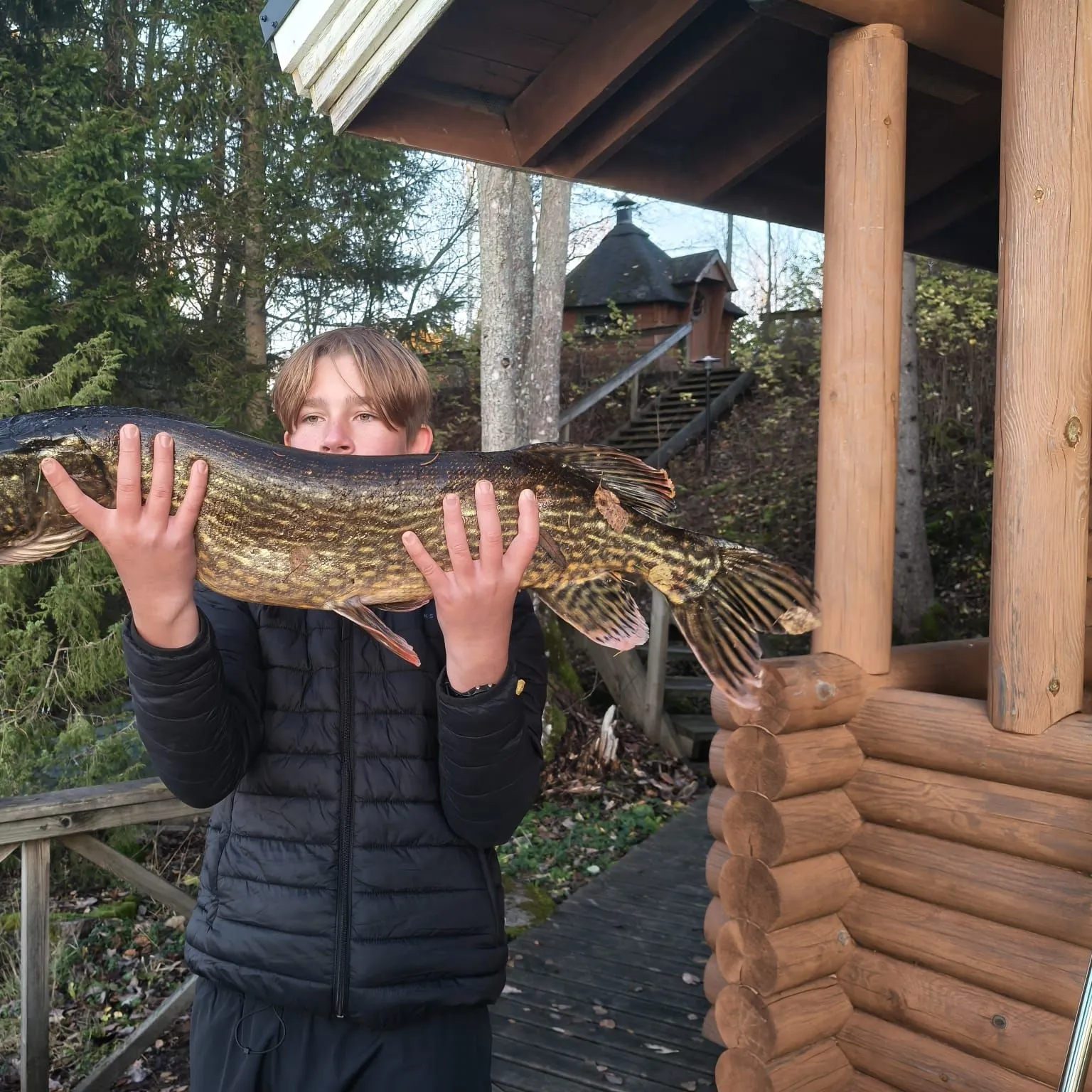 Northern pike caught on Fishbrain