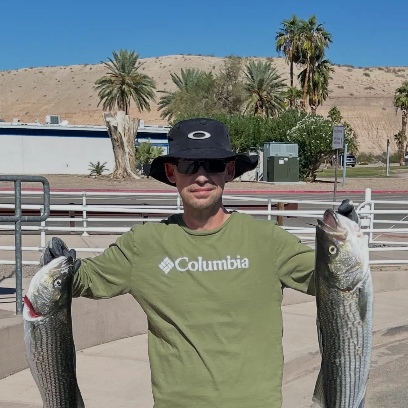 Striped bass caught on Fishbrain