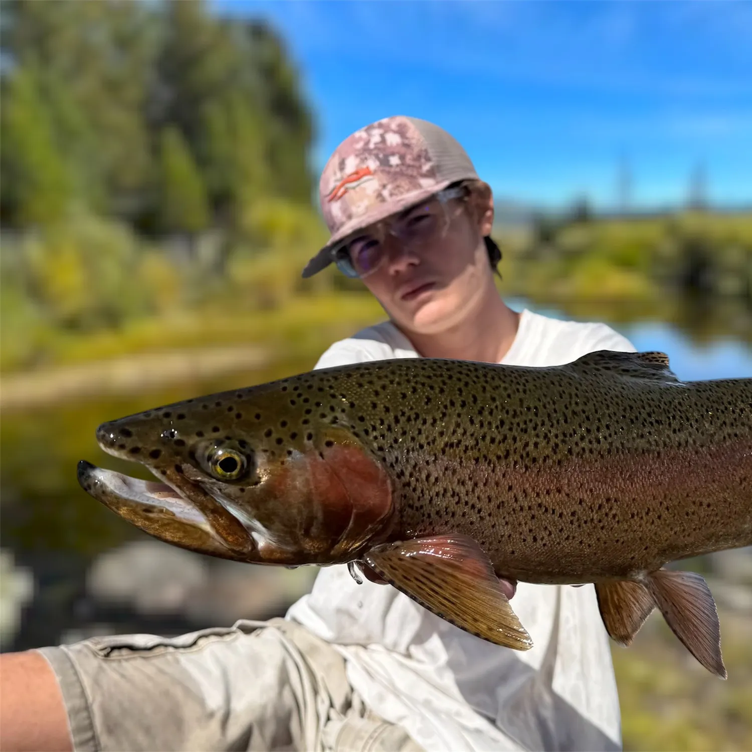 Rainbow trout caught on Fishbrain