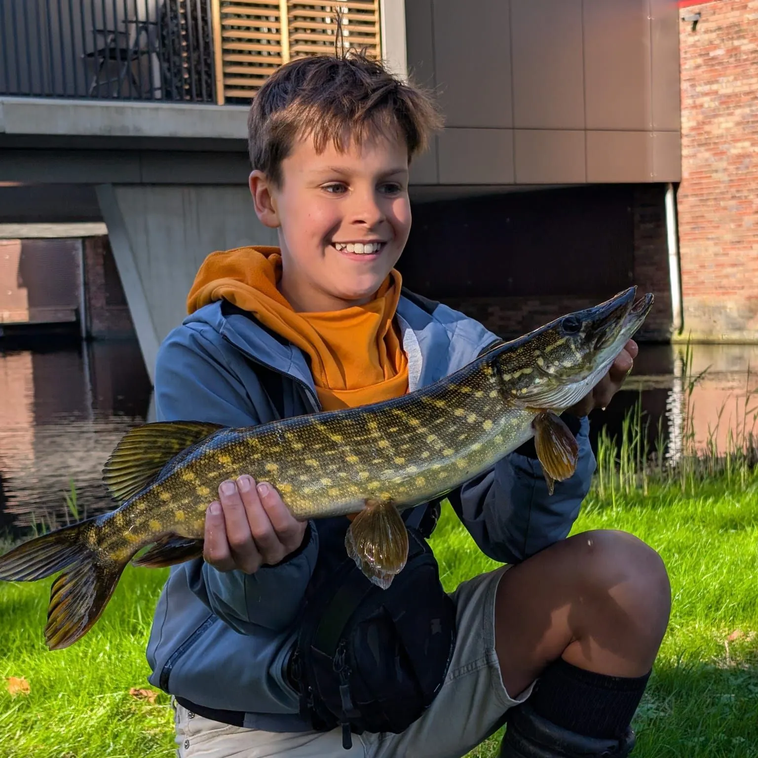 Northern pike caught on Fishbrain