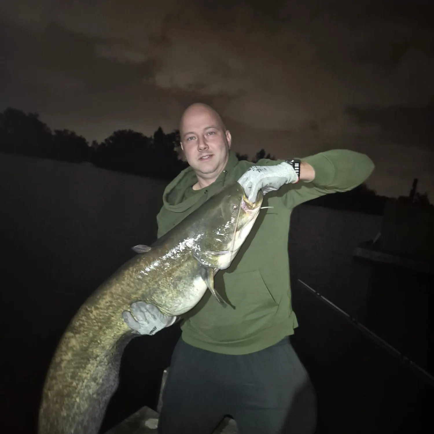Wels catfish caught on Fishbrain