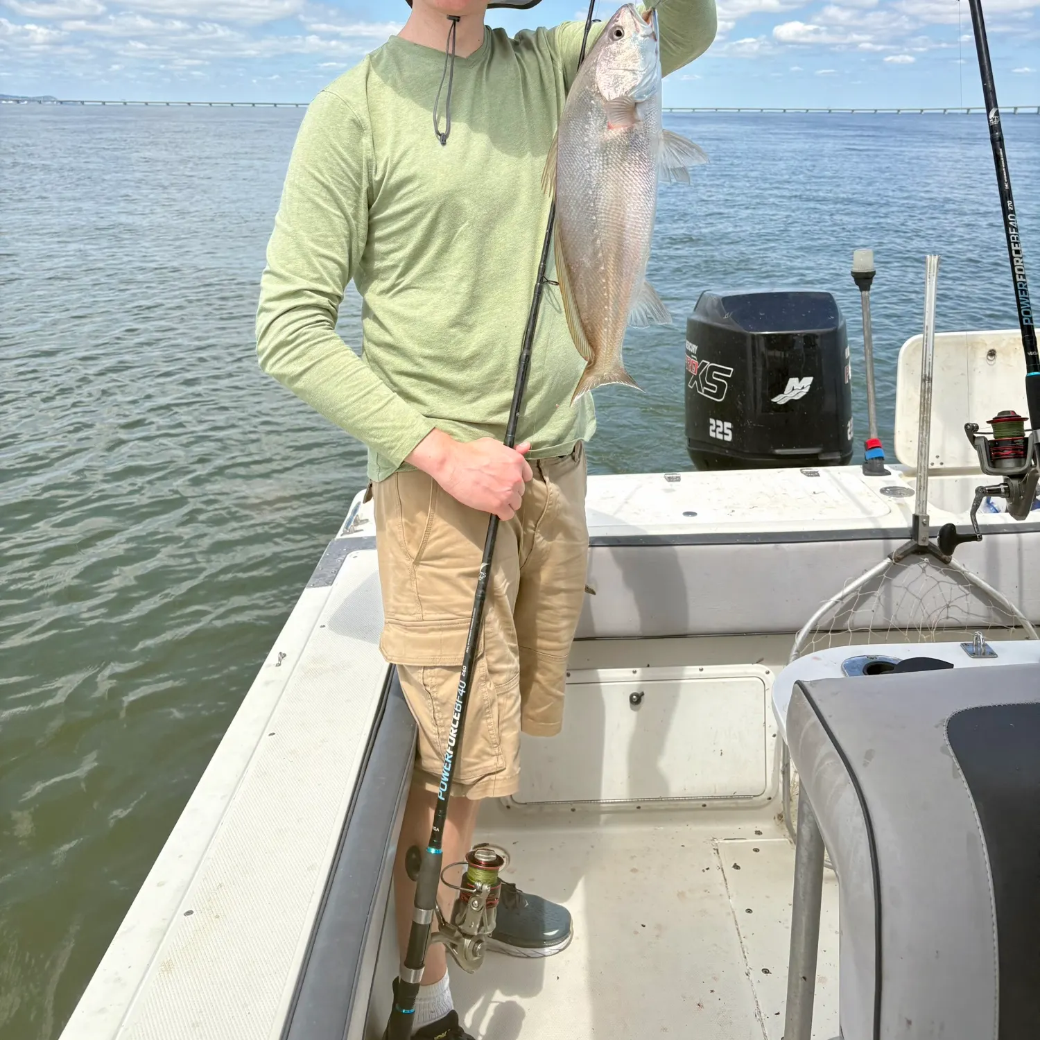 The most recent Meagre catches on Fishbrain