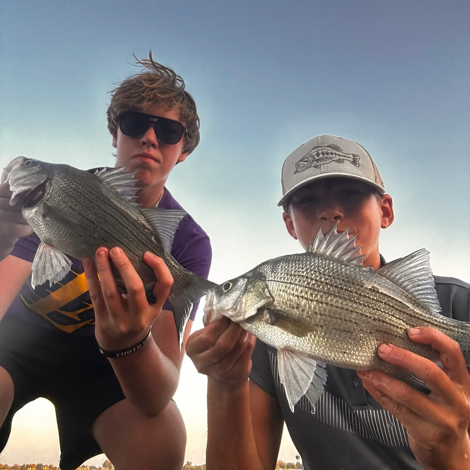 White bass caught on Fishbrain