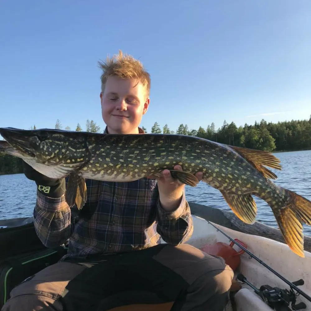 angler catch