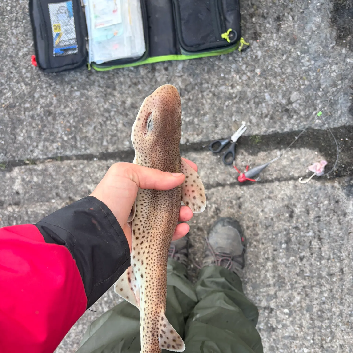 catch