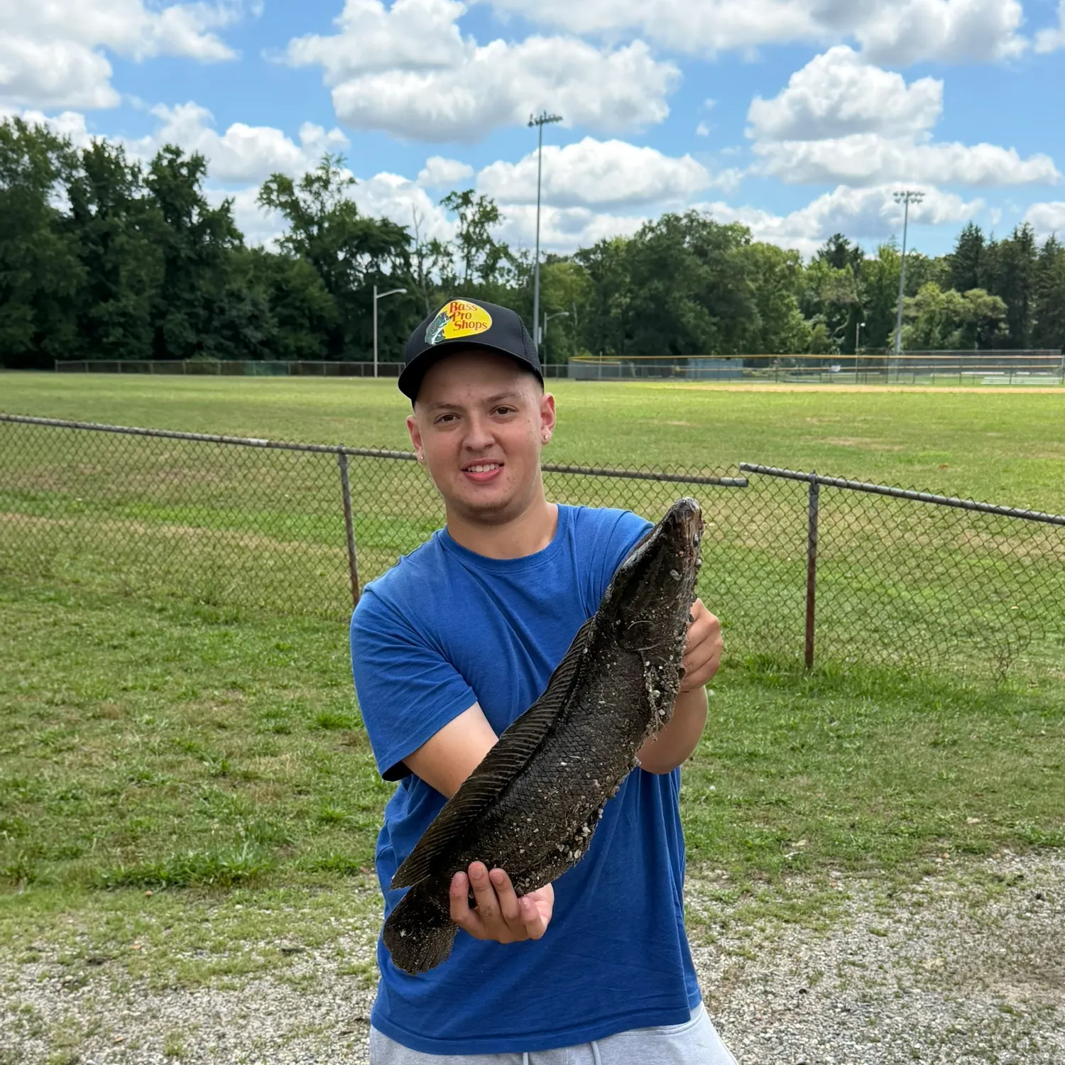 Northern snakehead caught on Fishbrain