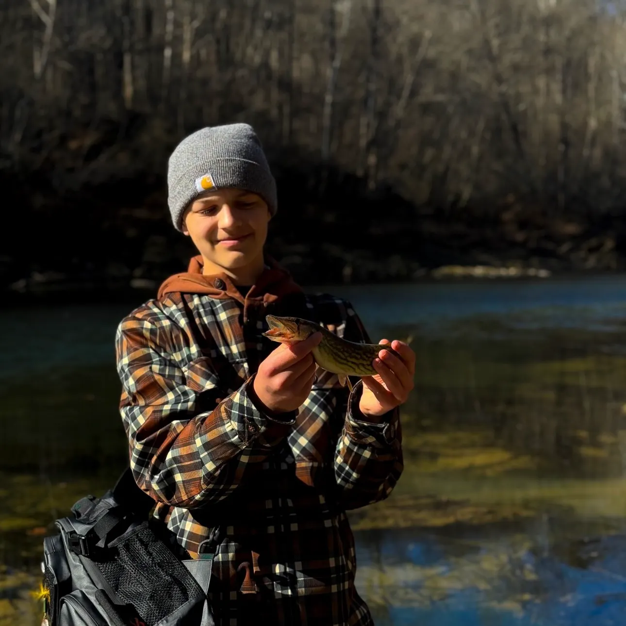 The most recent Chain pickerel catches on Fishbrain