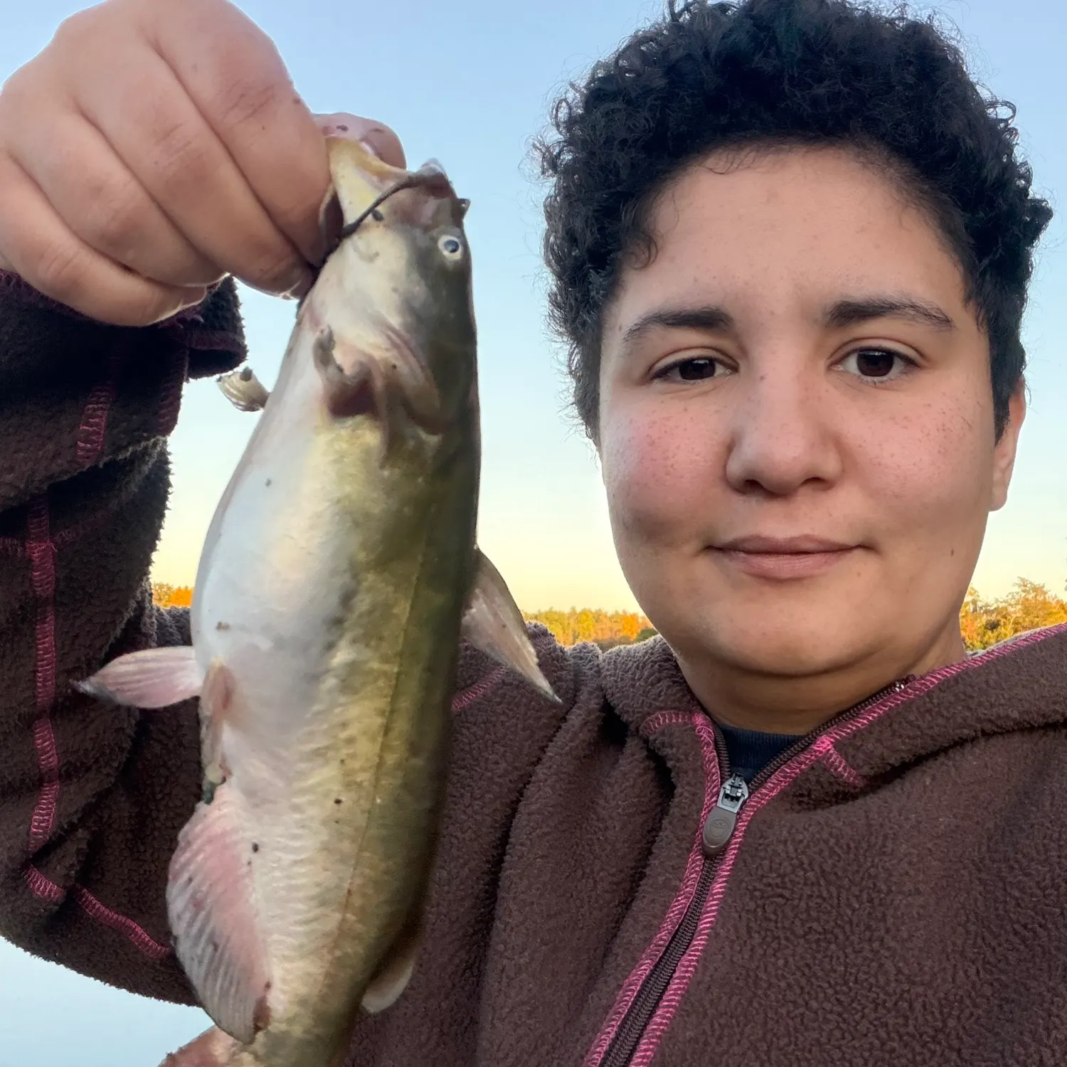 Yellow bullhead caught on Fishbrain
