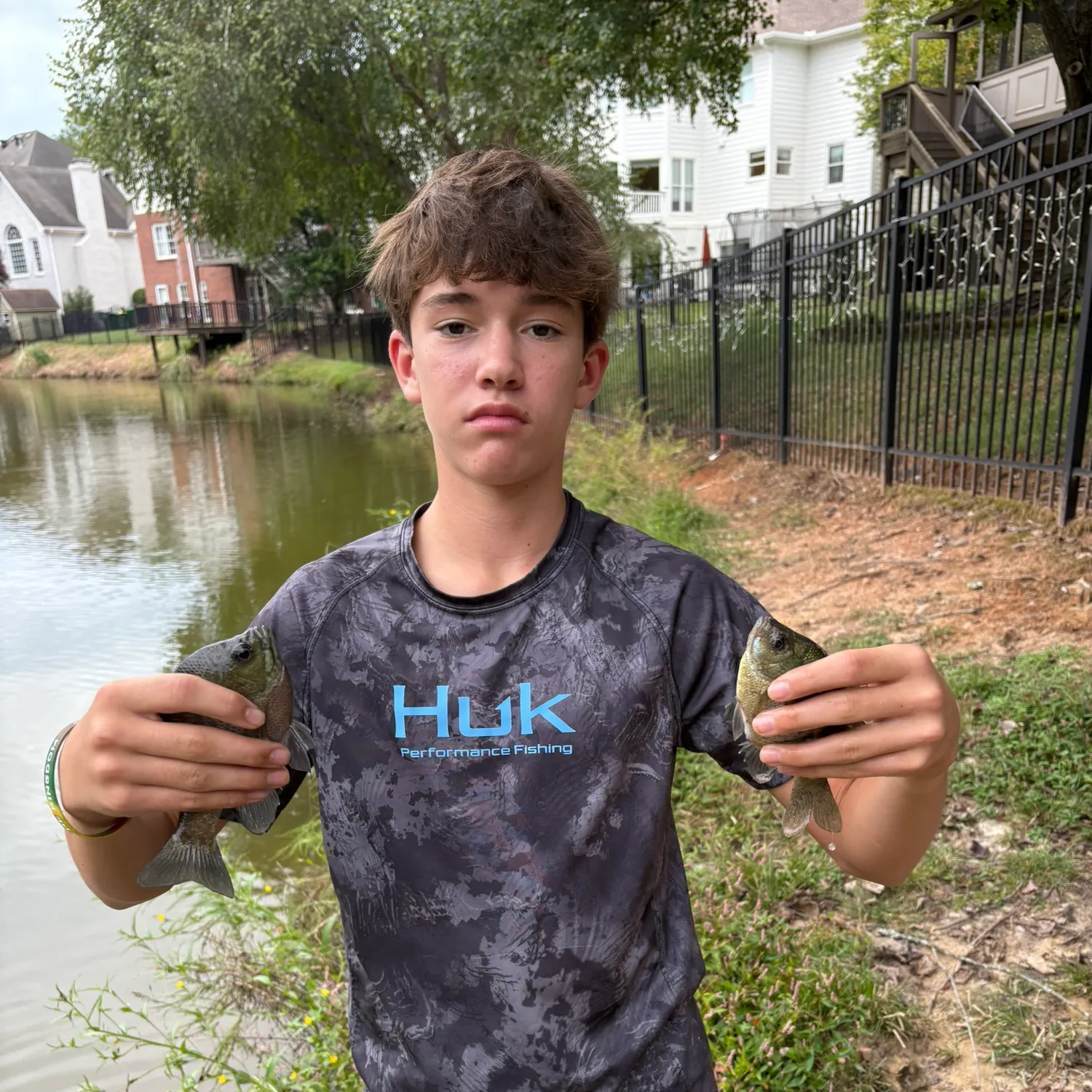 The most recent Redbreast sunfish x bluegill catches on Fishbrain