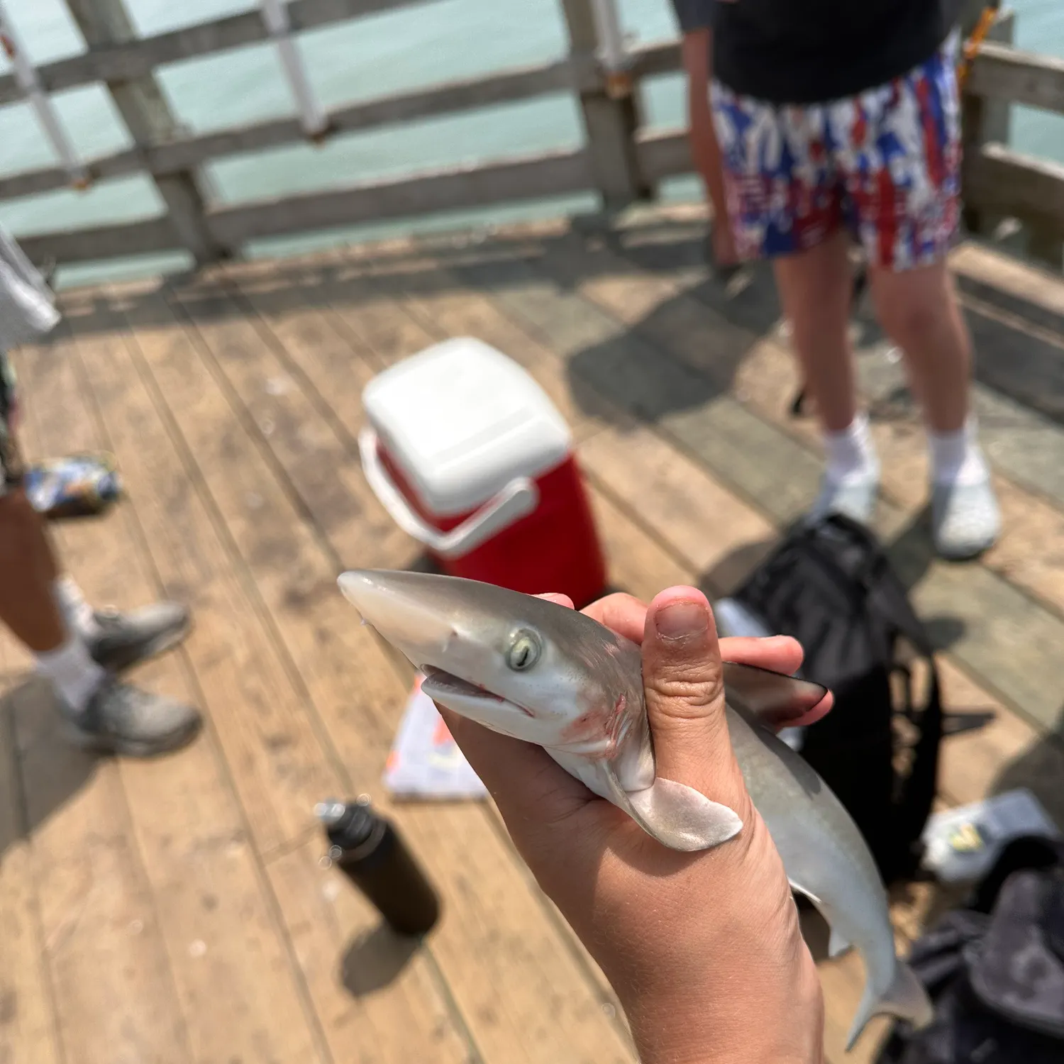 catch