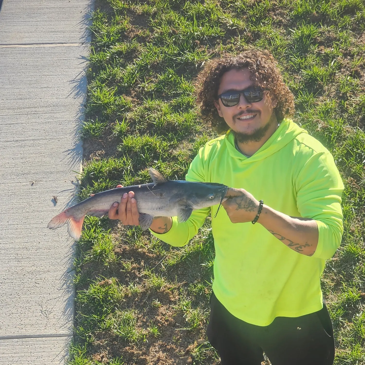 Channel catfish caught on Fishbrain