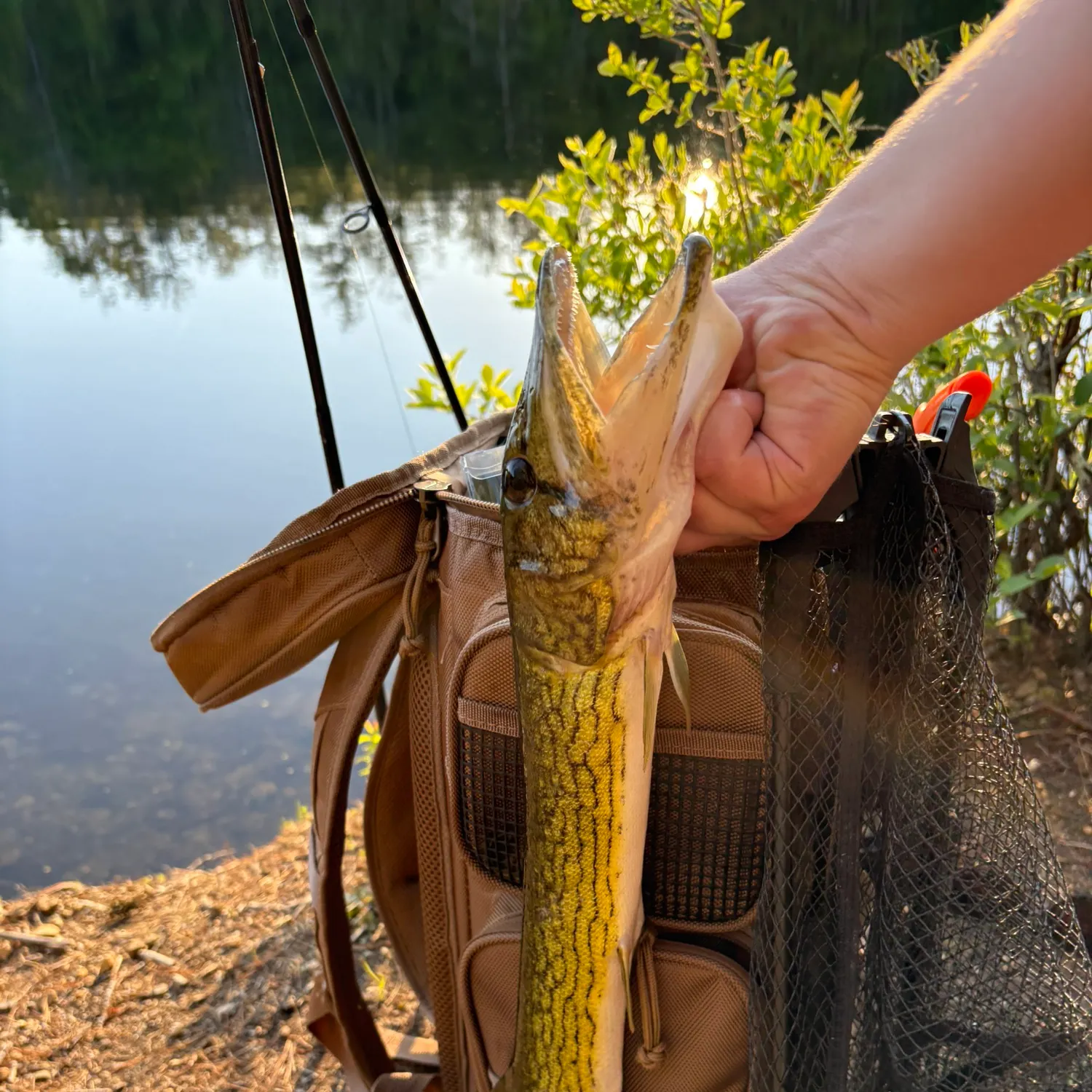 catch