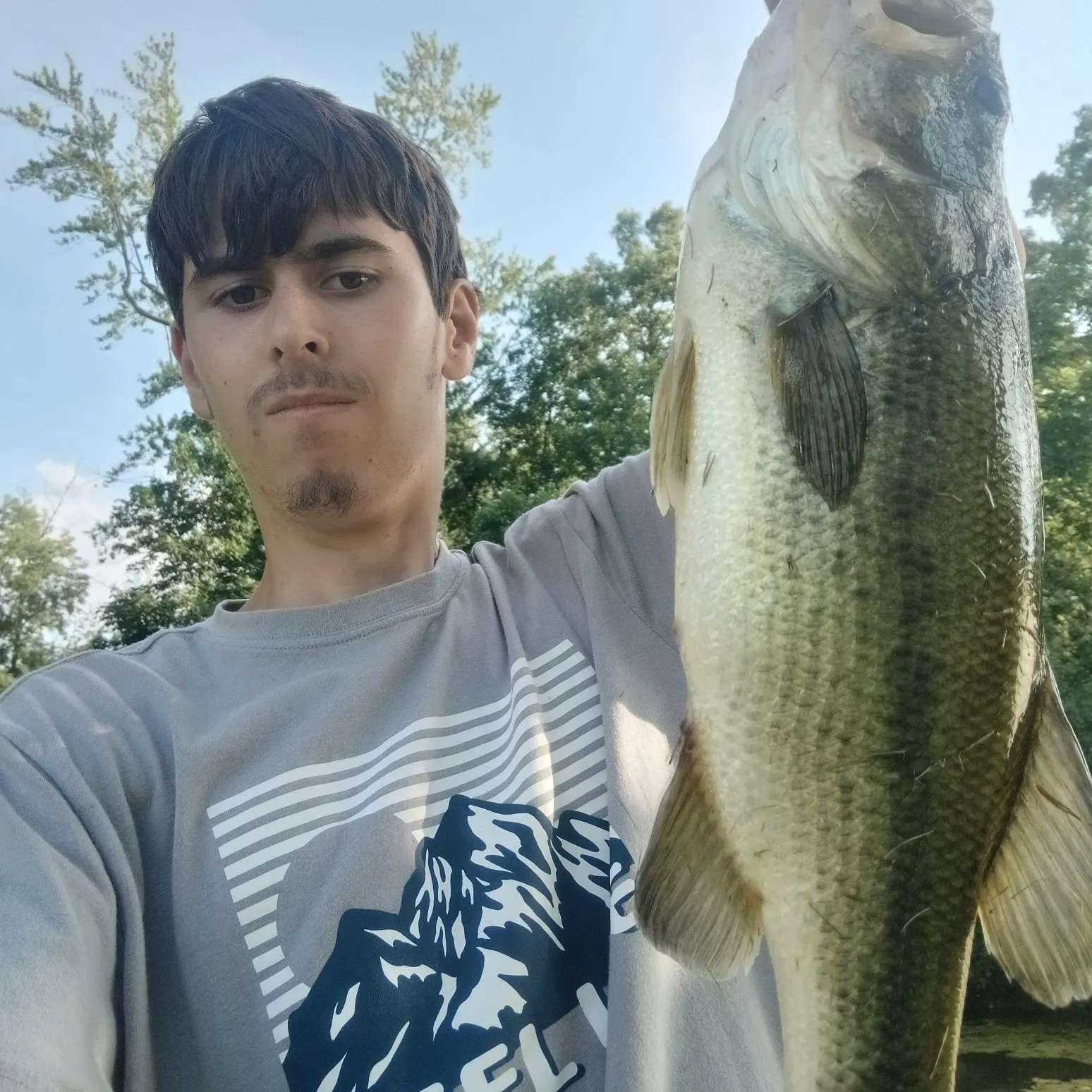 Largemouth bass caught on Fishbrain