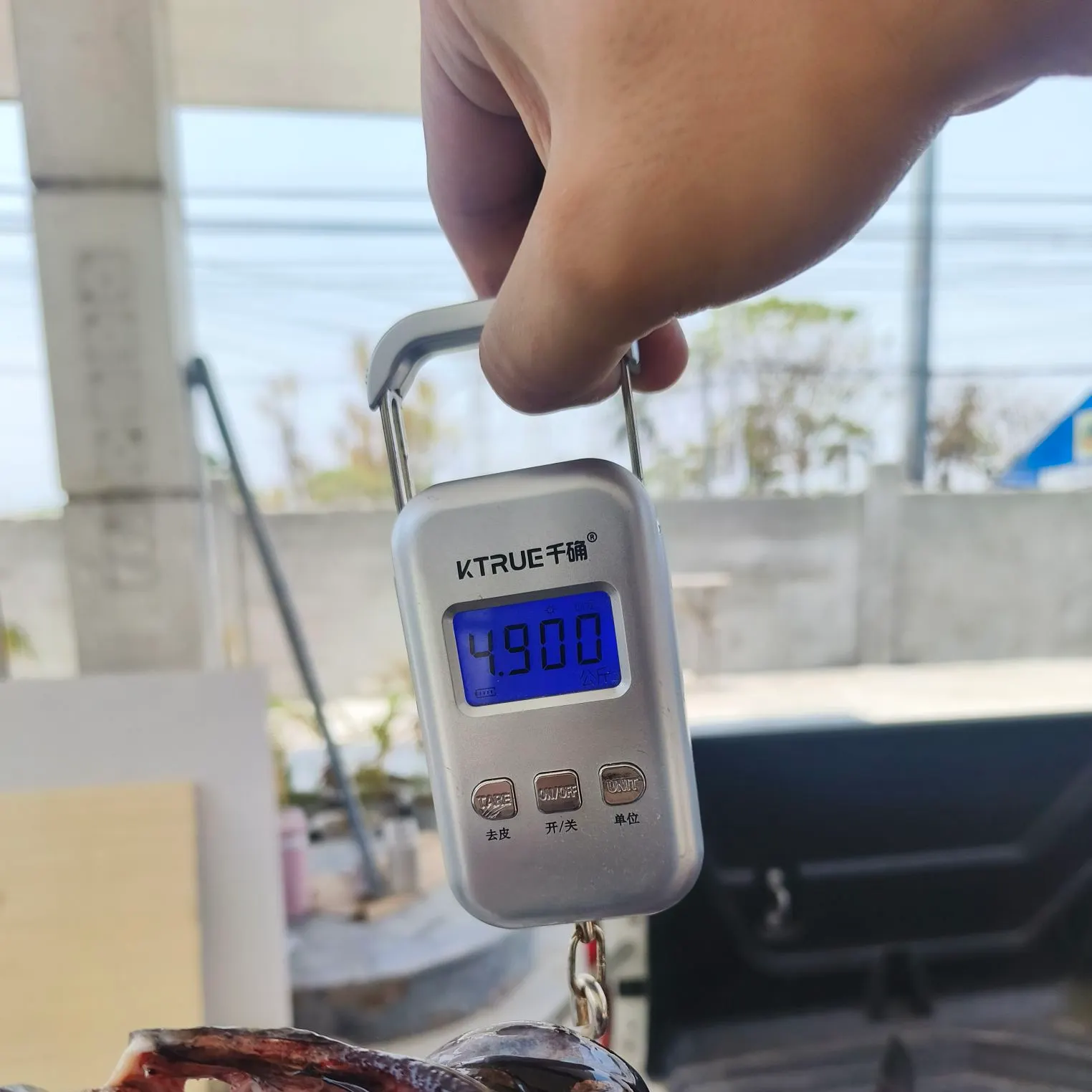 The most recent Sickle pomfret catches on Fishbrain