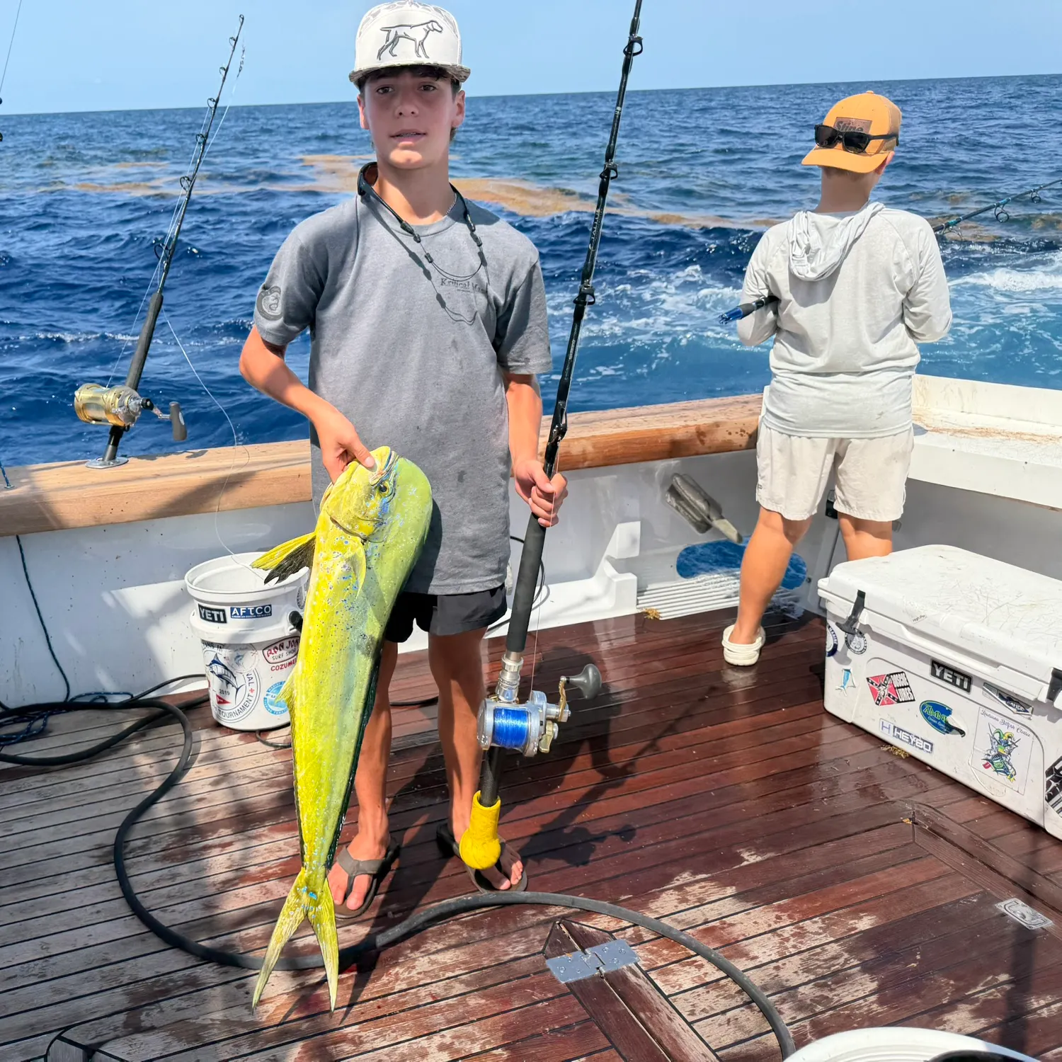 Common dolphinfish caught on Fishbrain
