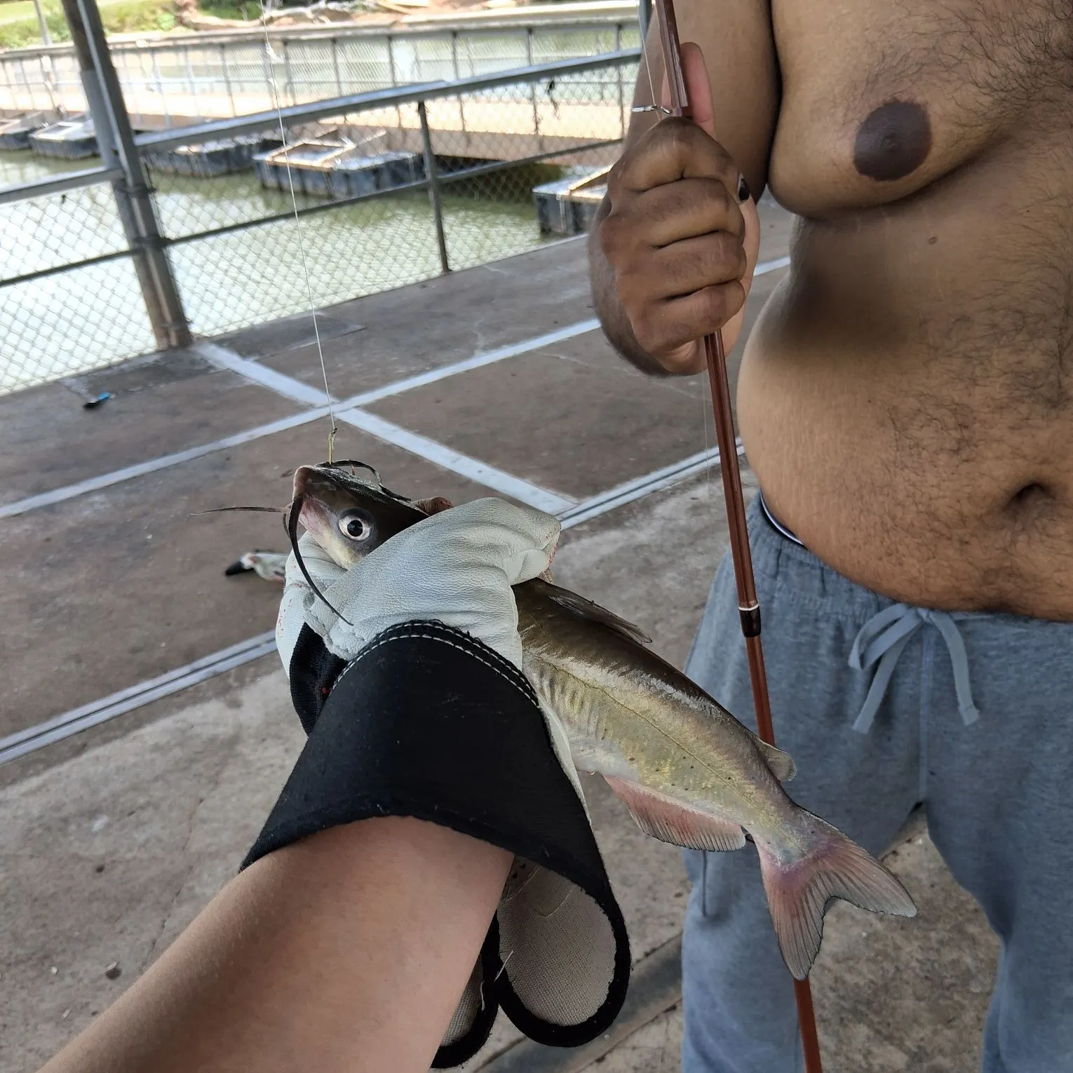 catch