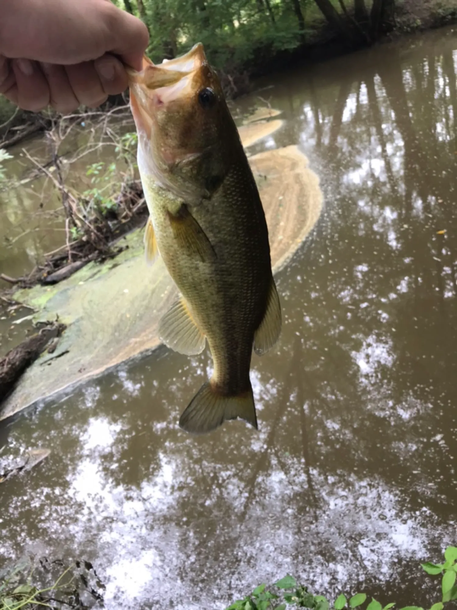 Post image from matt.andrews