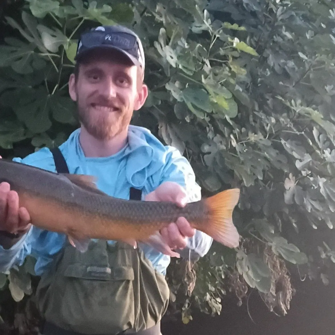 The most recent Sacramento sucker catches on Fishbrain