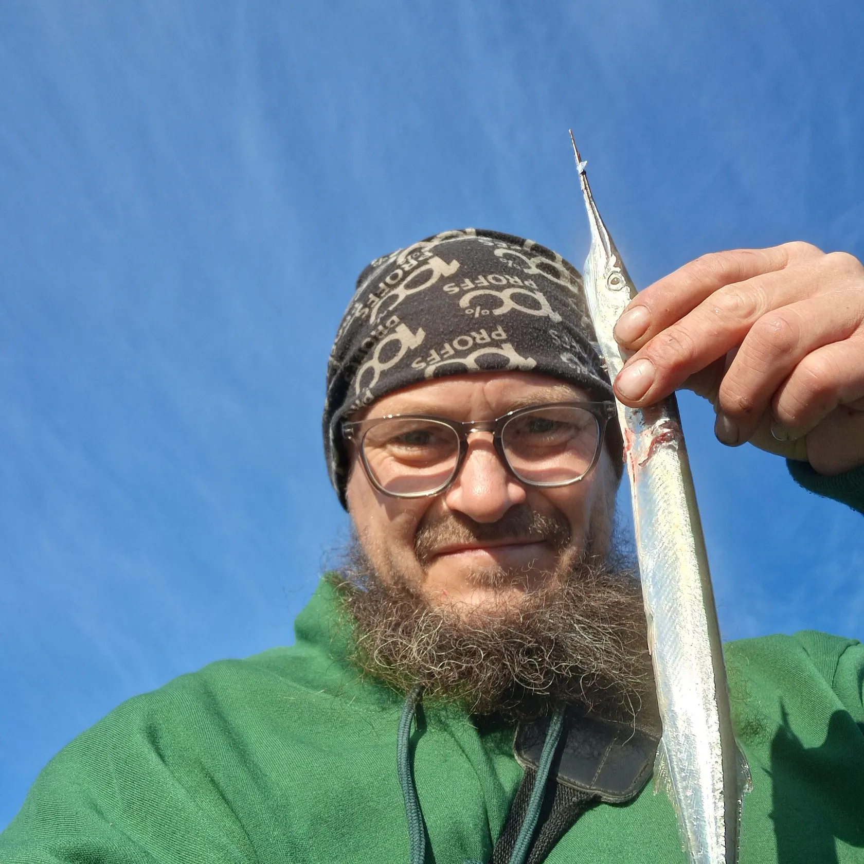 European garfish caught on Fishbrain