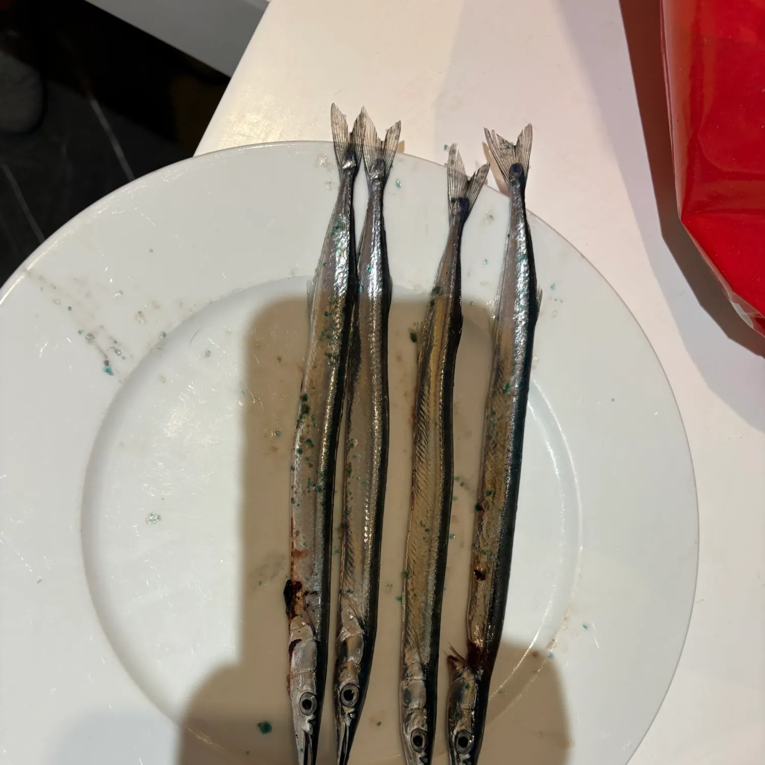 The most recent European garfish catches on Fishbrain