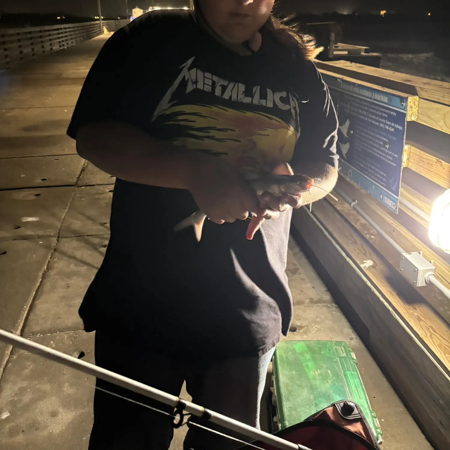 recently logged catches