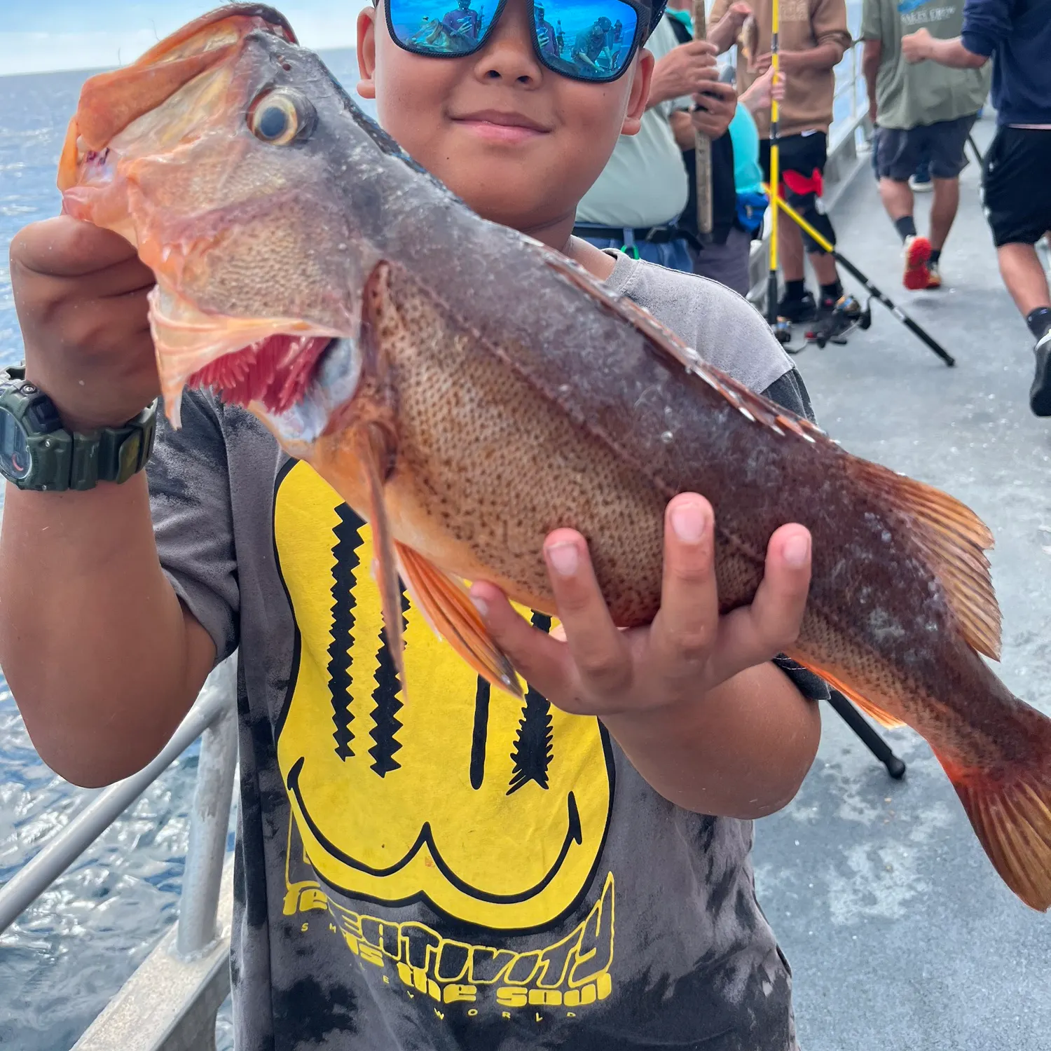 The most recent Bocaccio rockfish catches on Fishbrain