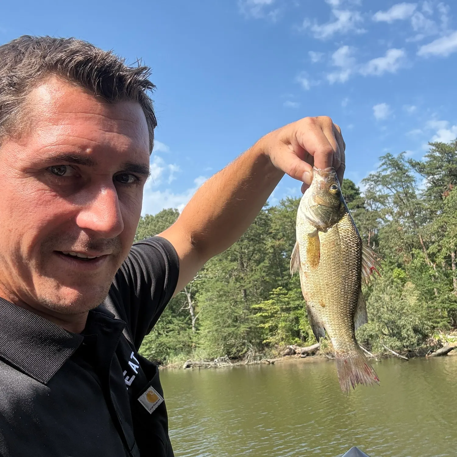 White perch caught on Fishbrain