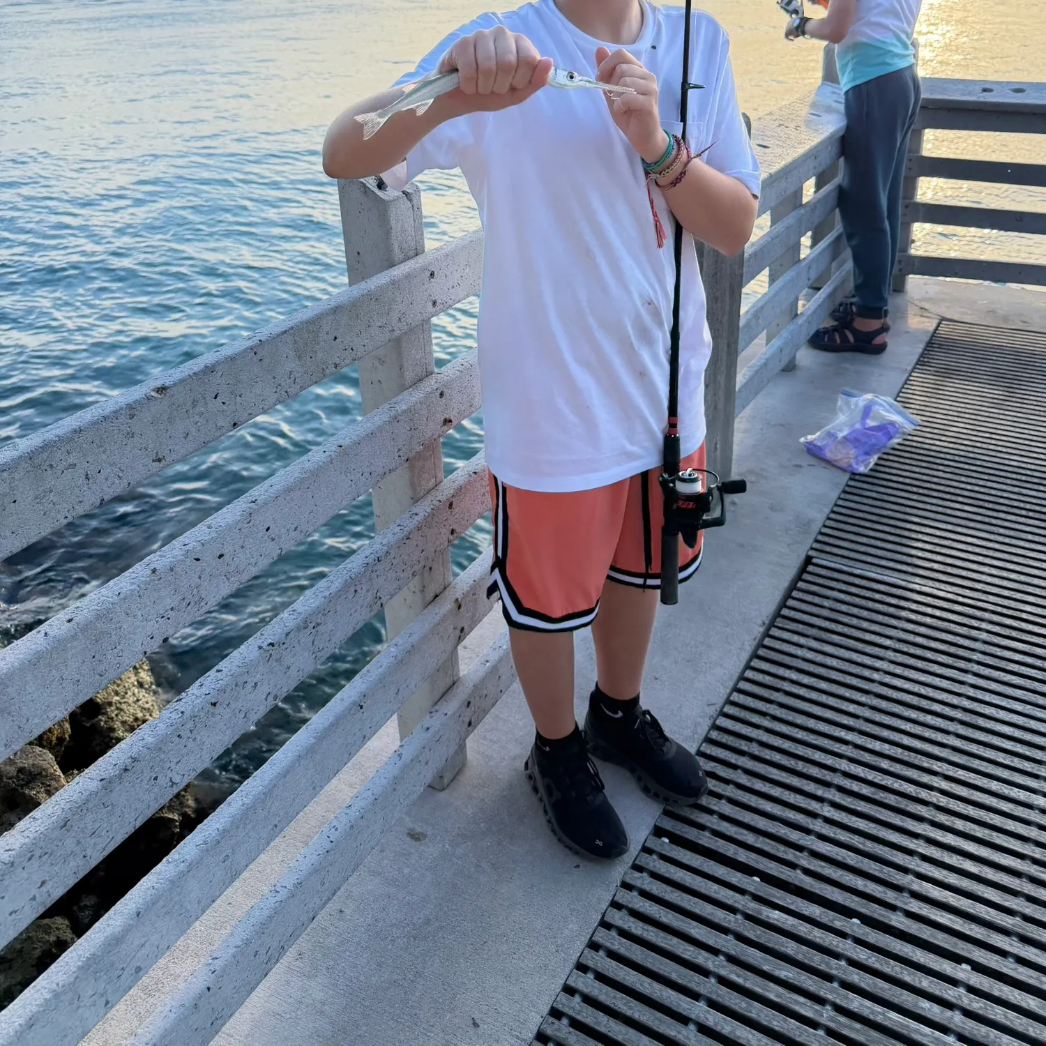 The most recent Hound needlefish catches on Fishbrain