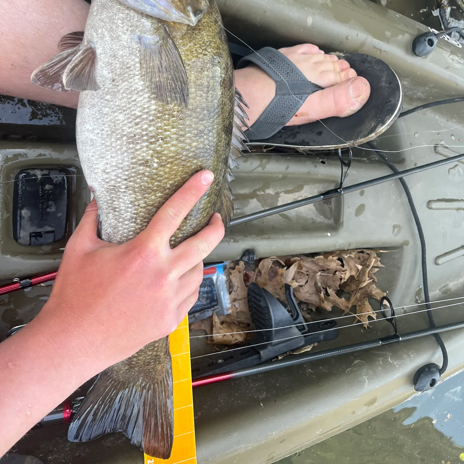 angler catch