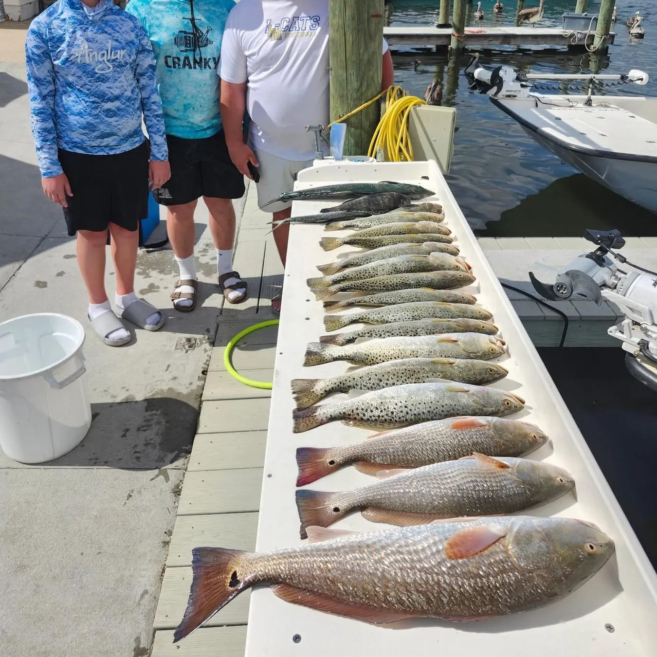 recently logged catches