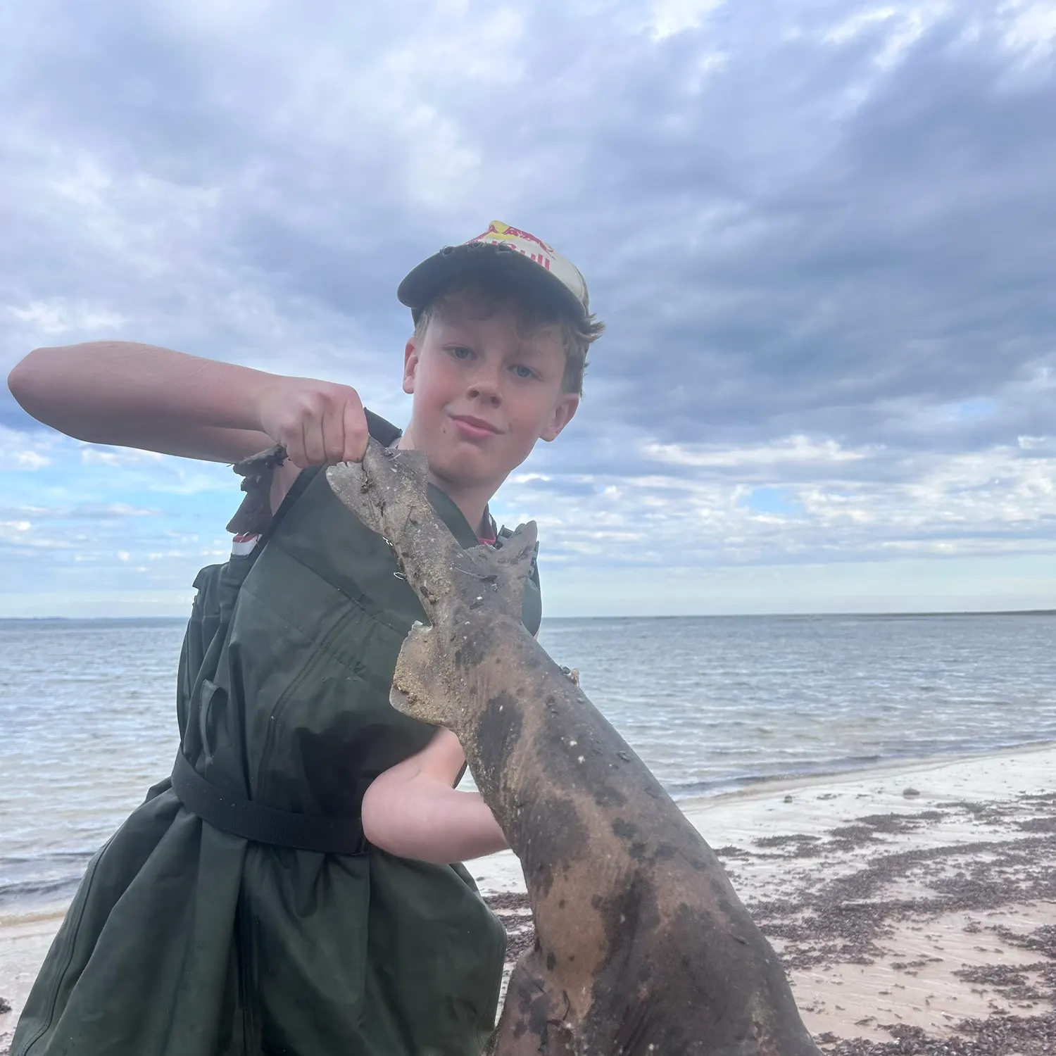 The most recent Swellshark catches on Fishbrain
