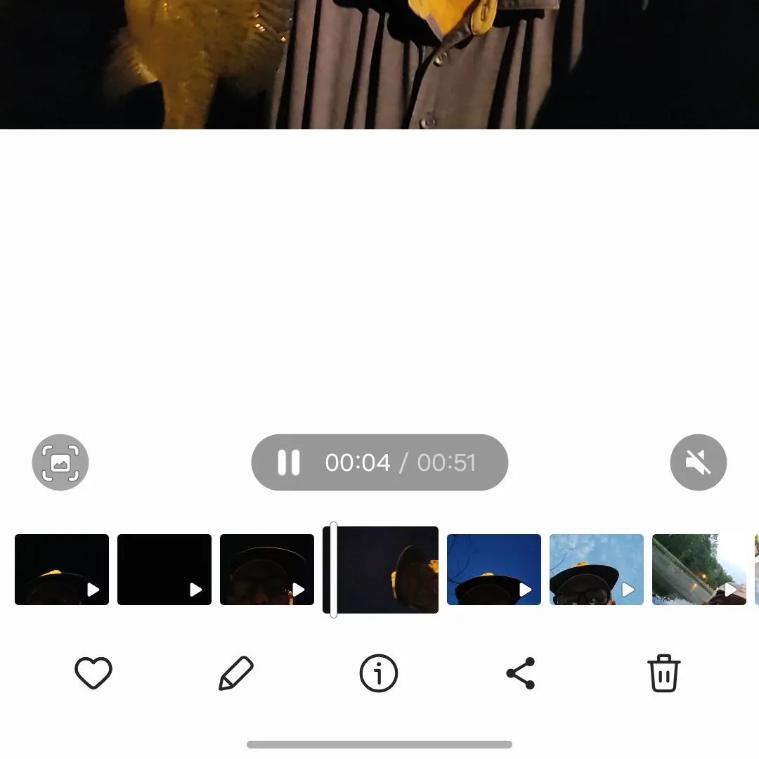 recently logged catches