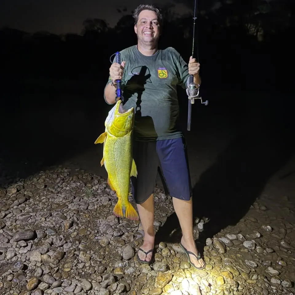 Golden dorado caught on Fishbrain