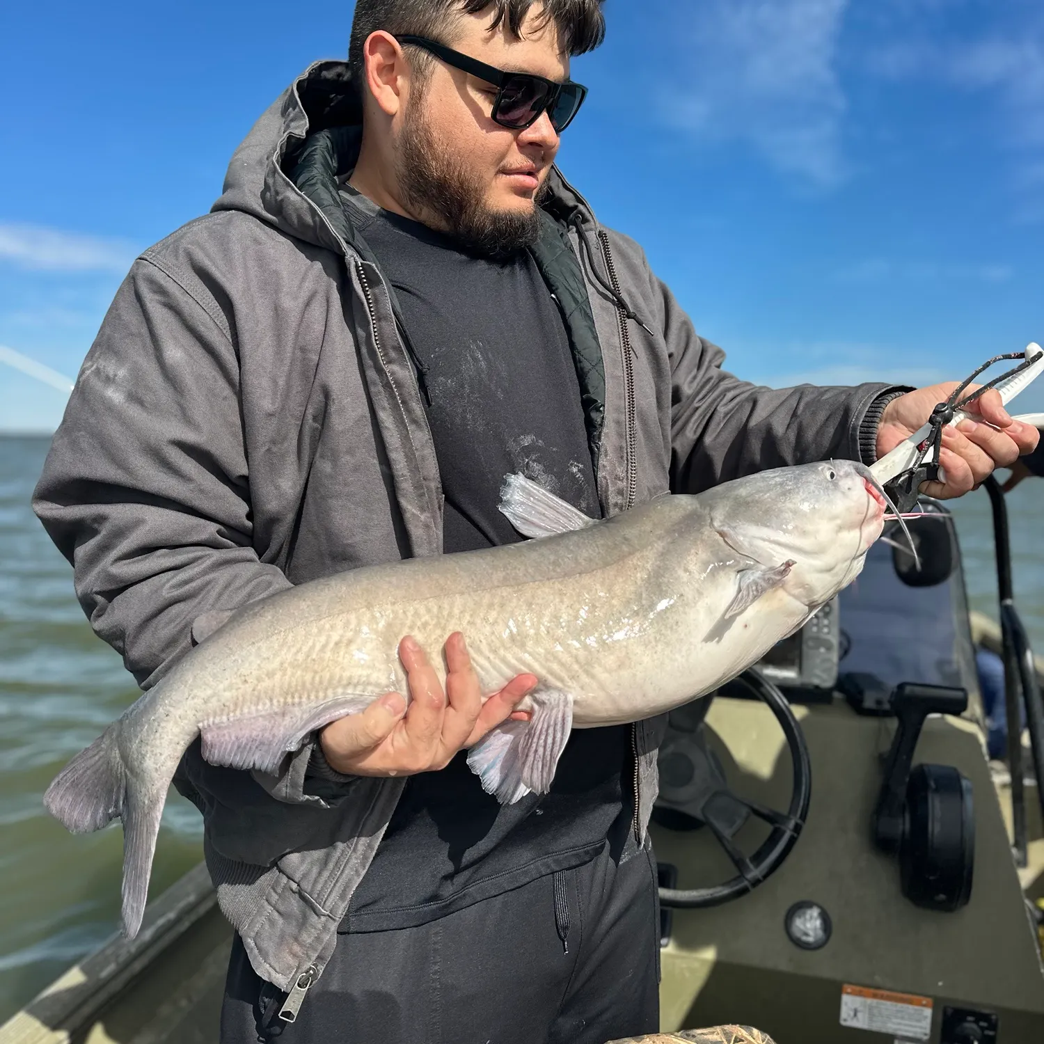 Blue catfish caught on Fishbrain