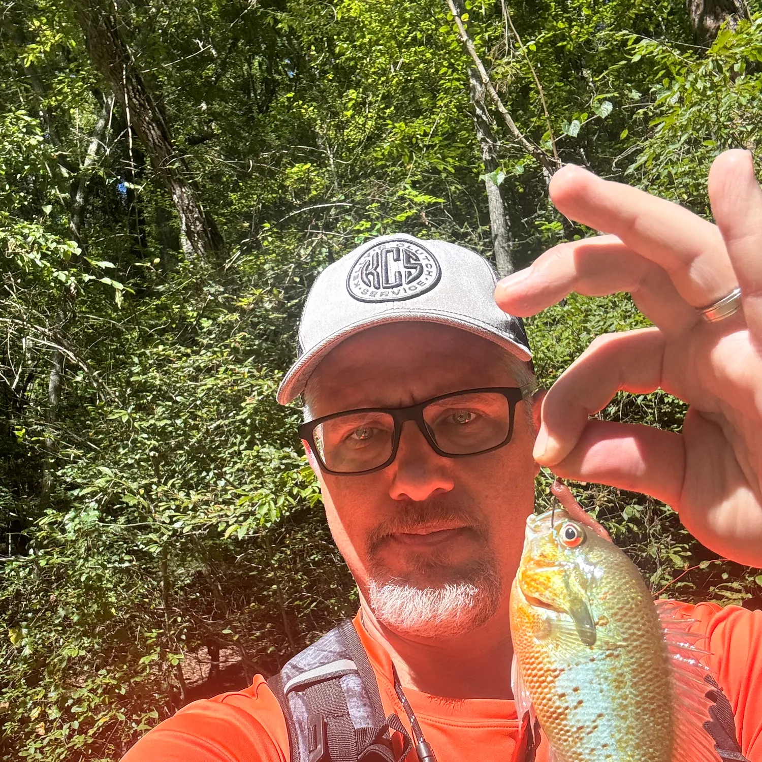 Redbreast sunfish caught on Fishbrain
