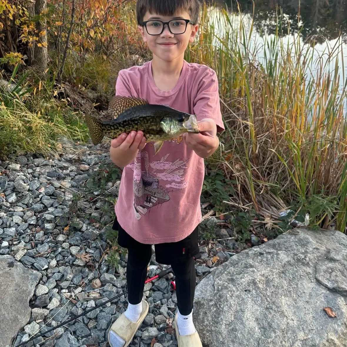 Black crappie caught on Fishbrain