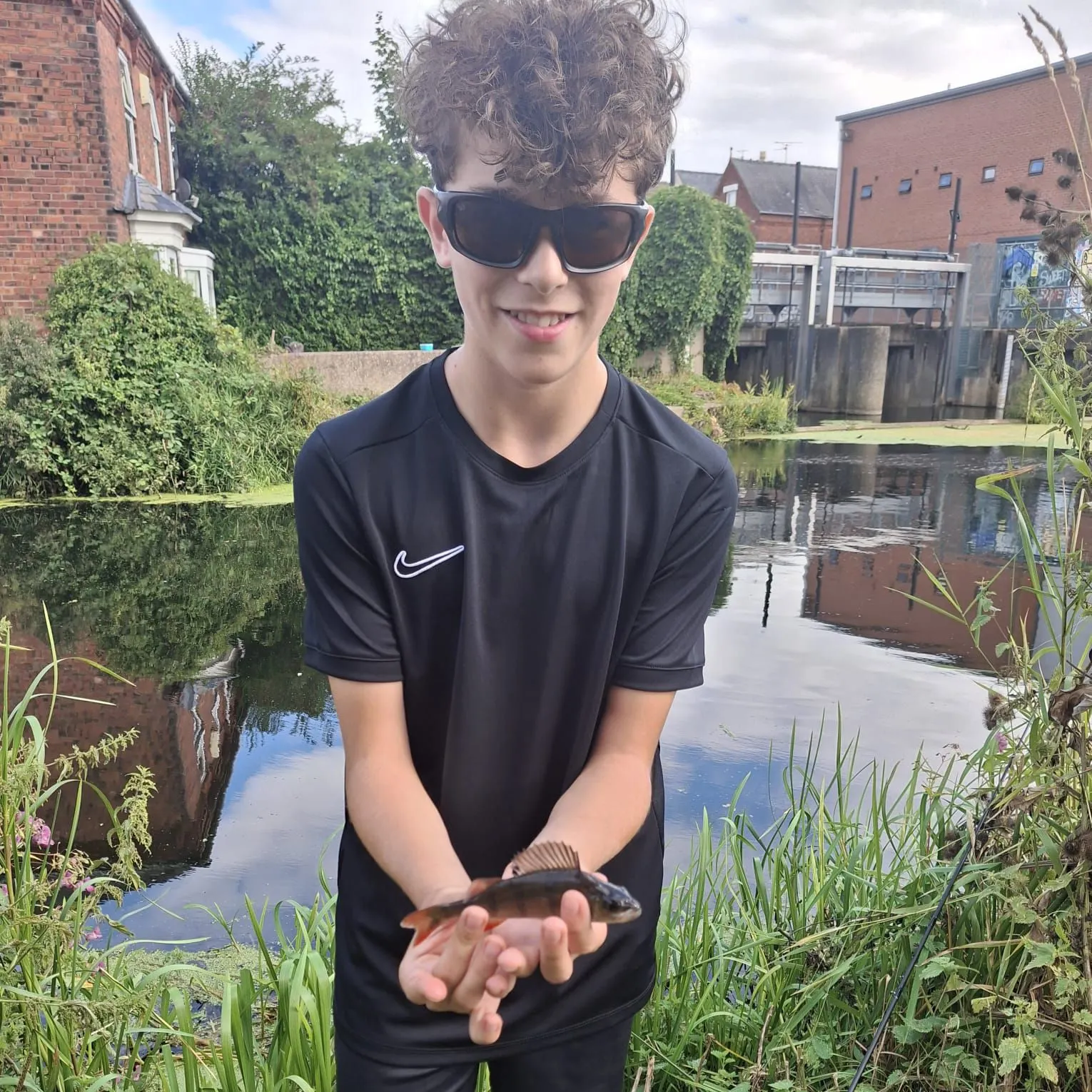 European perch caught on Fishbrain