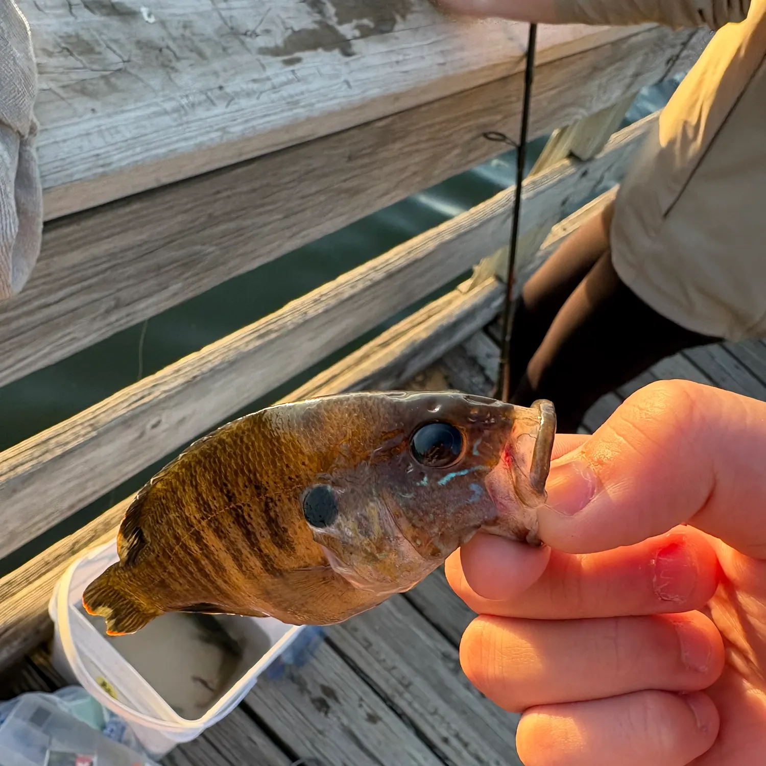 catch