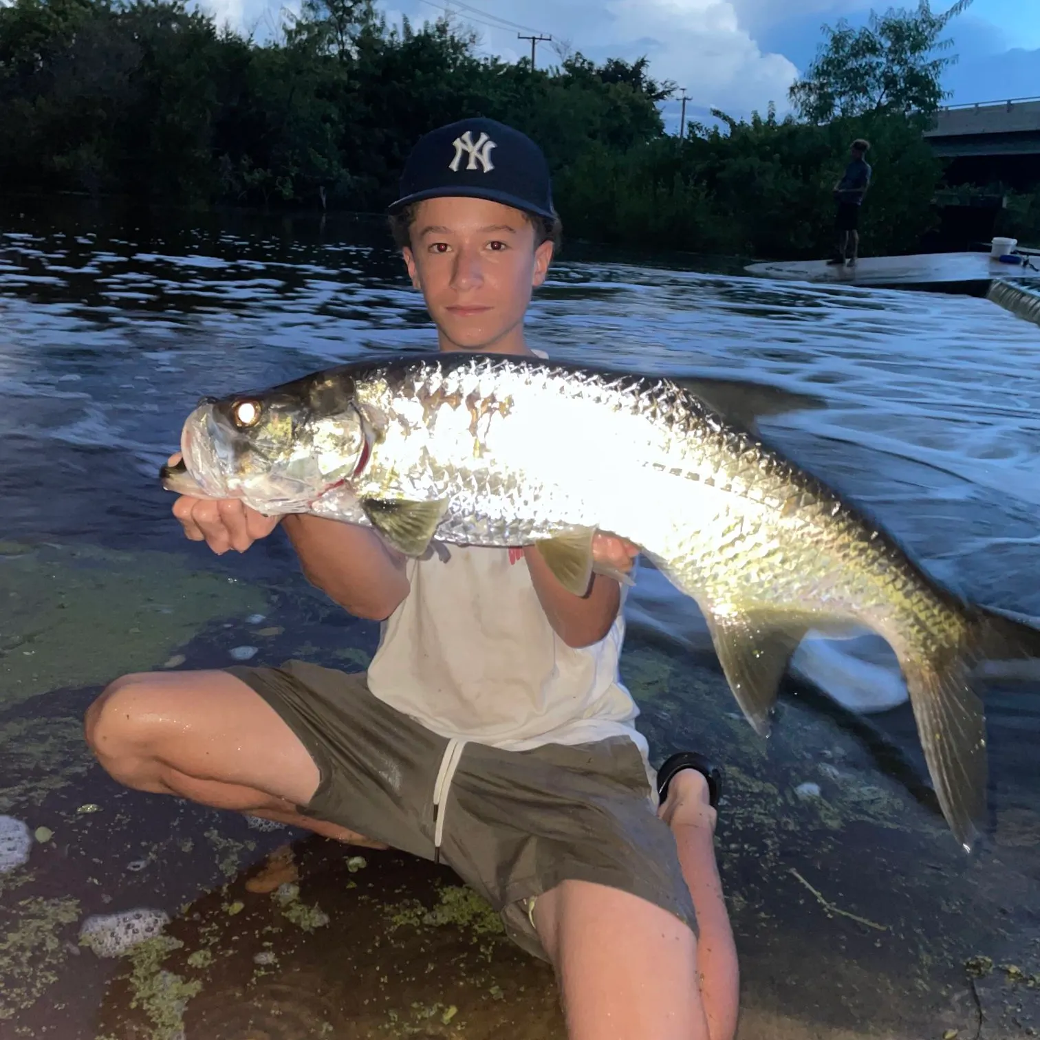 Tarpon caught on Fishbrain