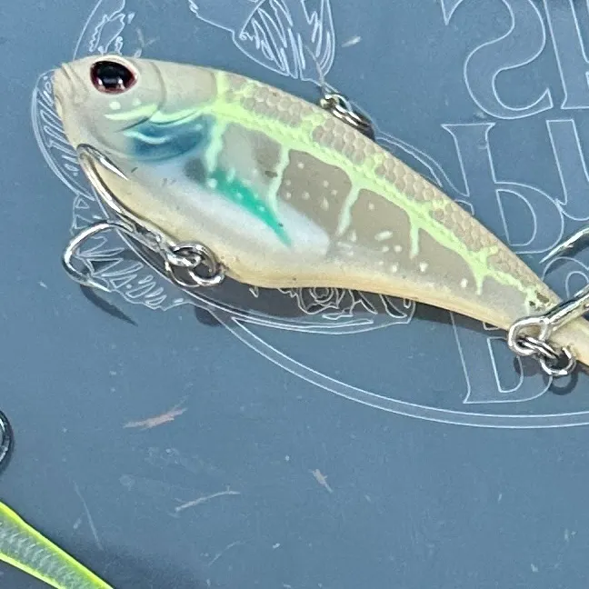 The most recent Southern flounder catches on Fishbrain