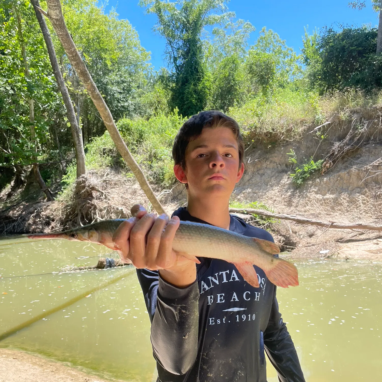 Shortnose gar caught on Fishbrain