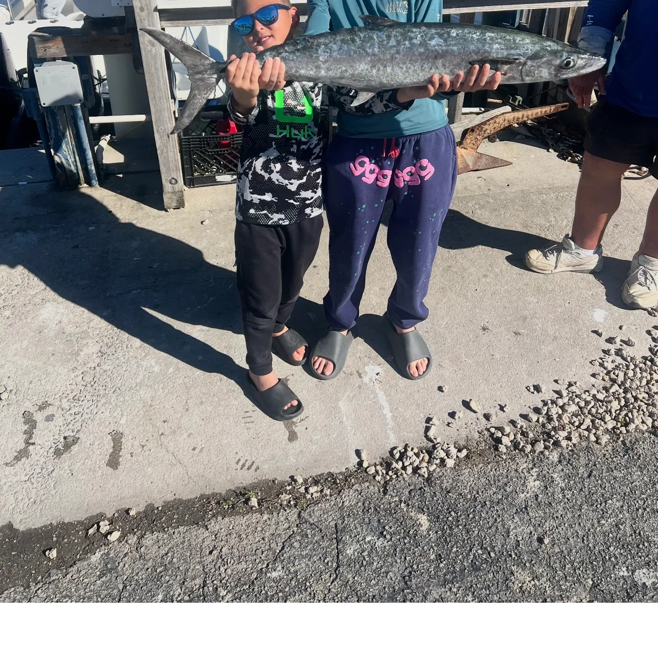 King mackerel caught on Fishbrain
