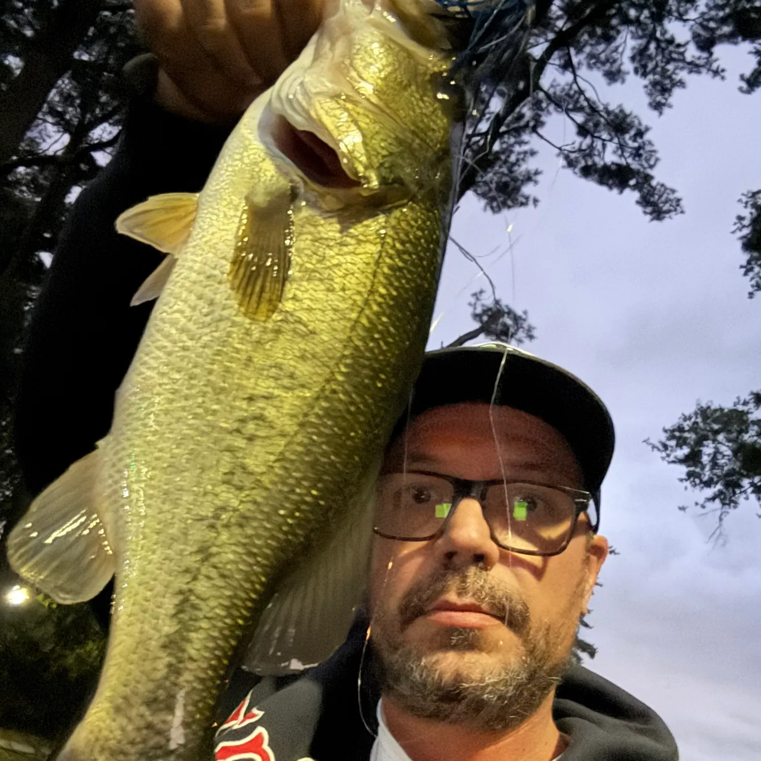 Largemouth bass caught on Fishbrain