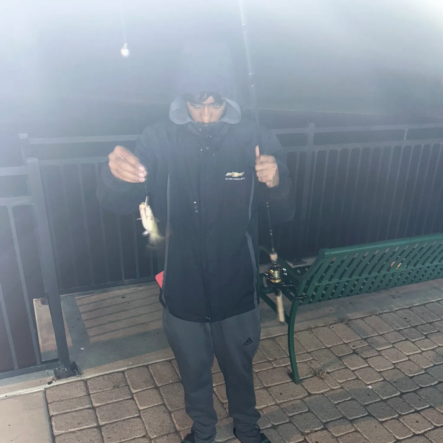 Channel catfish caught on Fishbrain