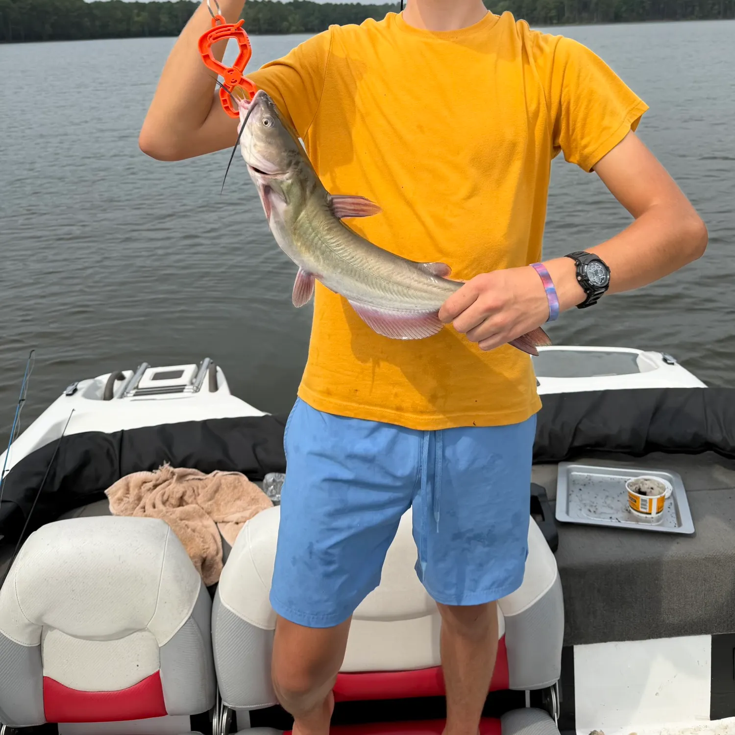 catch