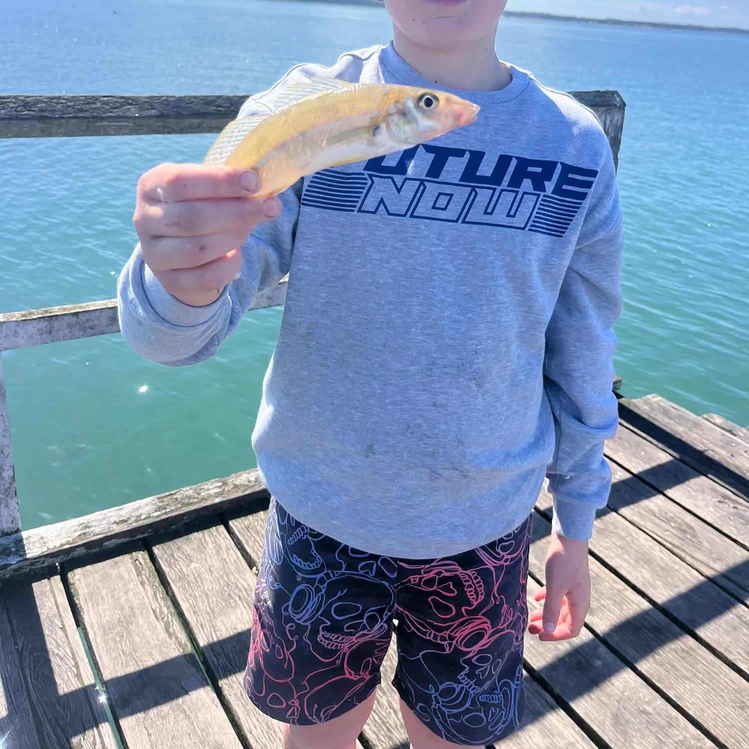 Sand sillago caught on Fishbrain