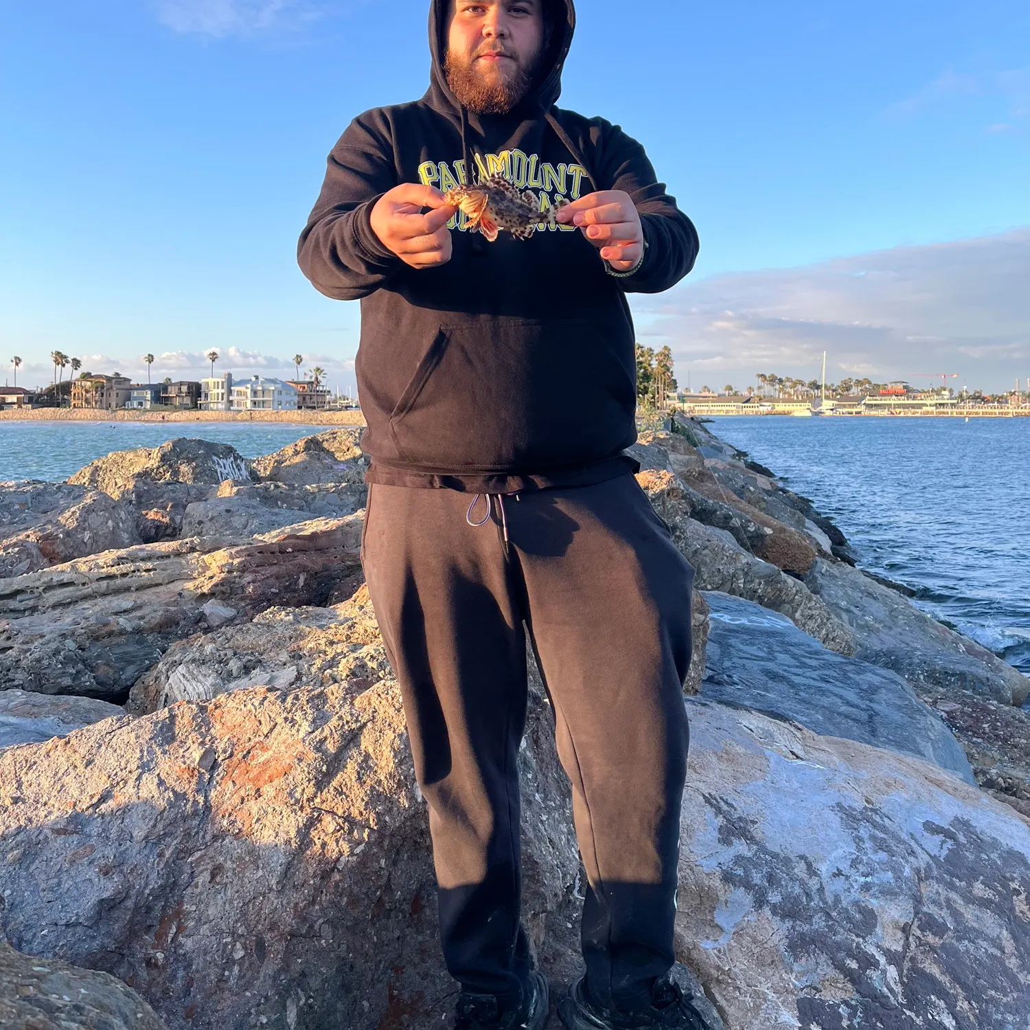 The most recent California scorpionfish catches on Fishbrain